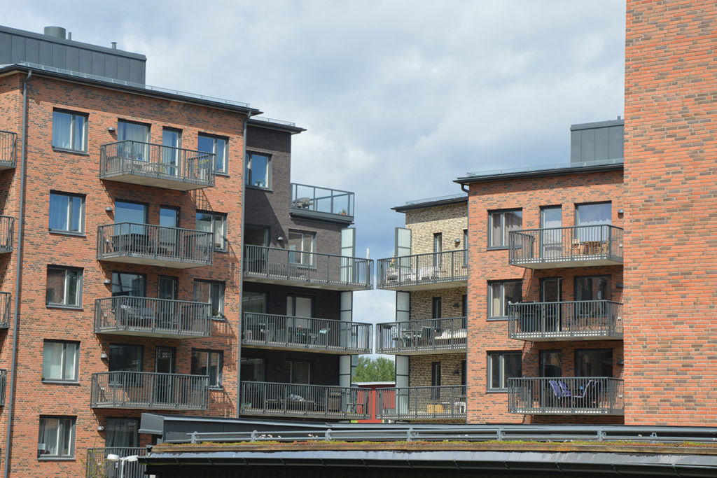Image of Åkerbäret