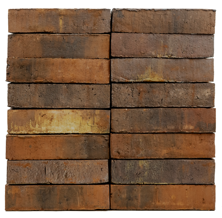 Image of 2448 Forest