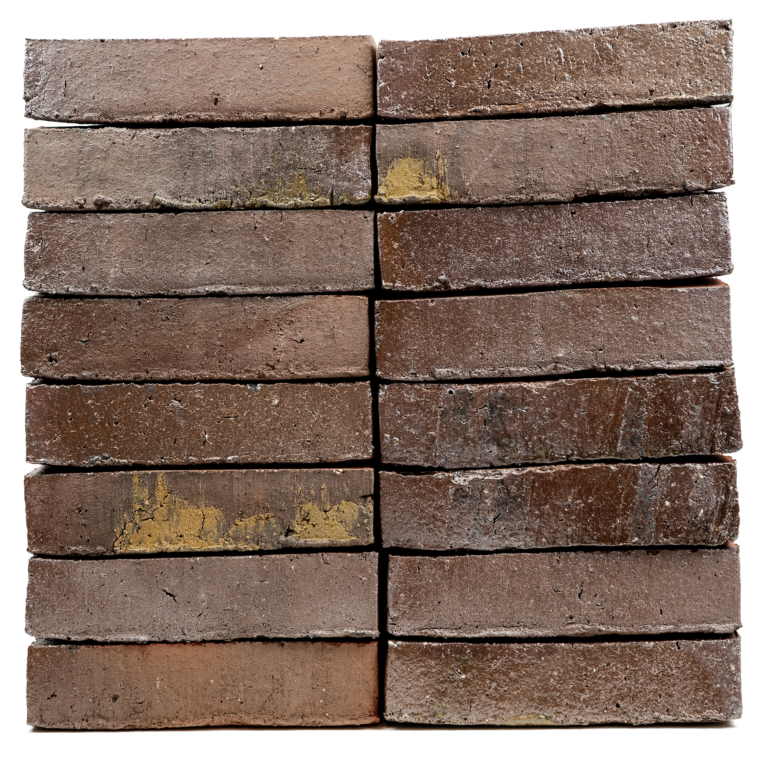 Image of 3282 Amazonas