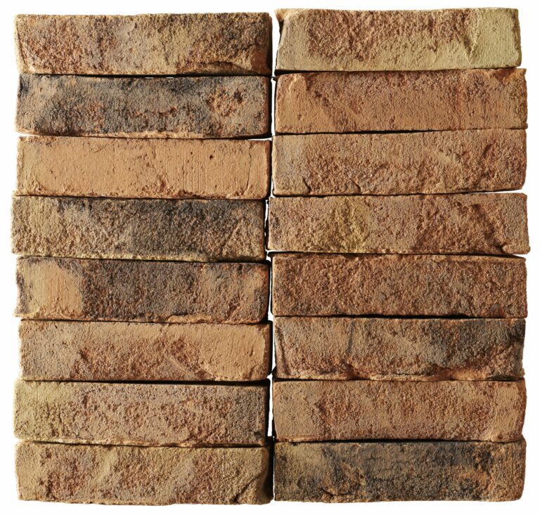 Image of 3373 Safari handslagen