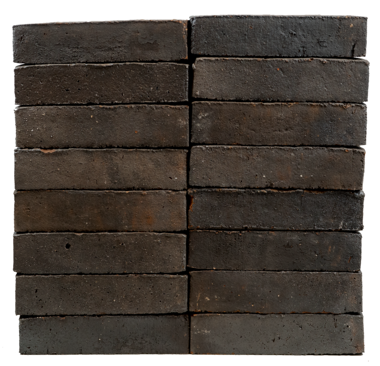 Image of 3479 Brownie