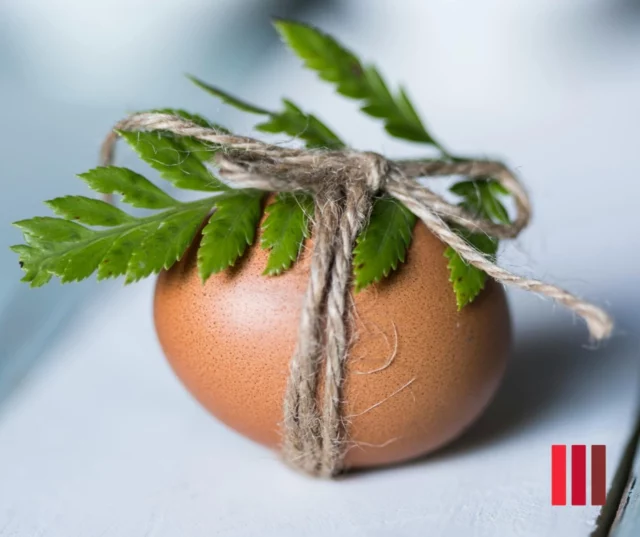 🌼 Glad Påsk önskar vi er alla! 🐣

Vi vill passa på att önska en riktigt härlig och avkopplande påskhelg fylld med värme, glädje och kanske ett och annat påskägg.

Tack för ert förtroende och samarbetet – vi ser fram emot allt som våren har att erbjuda tillsammans!

Varma hälsningar, Team Tegelmäster 🧡

#ByggHållbart #ByggFörFramtiden #HållbarArkitektur  #Marktegel #Återbrukattegel #Skärmtegel #Glädje #Engagemang #Nyfikenhet #GreatPlaceToWork #Tillsammans