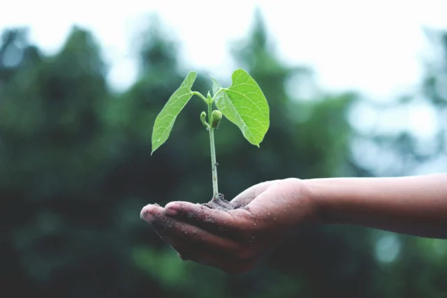 Tegelmäster deltar i årets Almedalsvecka 🌱

Under veckan kommer vi att vara med i viktiga samtal och debatter kring två centrala ämnen för bygg- och fastighetsbranschen:

 🧱 Brandsäkerhet och tryggare byggande – Bränder i våra byggnader är en högaktuell fråga. Vi vill lyfta behovet av brandsäkra material och hållbara lösningar, och bidra med vår kunskap kring hur tegel och murverk kan vara en del av svaret.

🧱 Hållbarhet – Vi är stolta över att på Hållbarhets scenen, torsdag 26 juni kl. 15:30, tillsammans med LFM30 presentera vårt innovationsprojekt ”Lerverket”. I projektet utforskar vi det nygamla byggmaterialet lersten – ett hållbart, vackert och naturligt byggmaterial som förtjänar en självklar plats i framtidens hållbara arkitektur. 

Vill du prata byggmaterial, brandsäkerhet eller framtidens hållbara stadsmiljöer? Hör av dig – vi ser fram emot att träffa både nya och gamla bekanta i Visby! 

#Almedalsveckan2025 #Brandsäkerhet #HållbartByggande #TegelOchMurverk #FramtidensStad #ByggHållbart #ByggFörFramtiden #HållbarArkitektur #Marktegel #Återbrukattegel #Skärmtegel #Glädje #Engagemang #Nyfikenhet